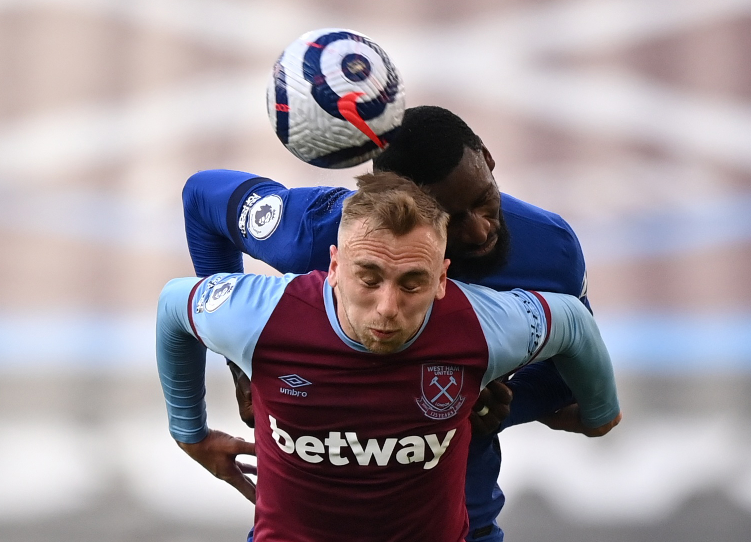 森林狼如何 森林狼如何