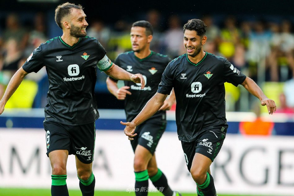 系统训练的 系统训练的